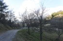 Route pour Sospel
